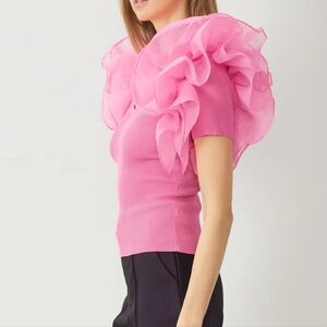 Ruffle Sleeve Statement Top